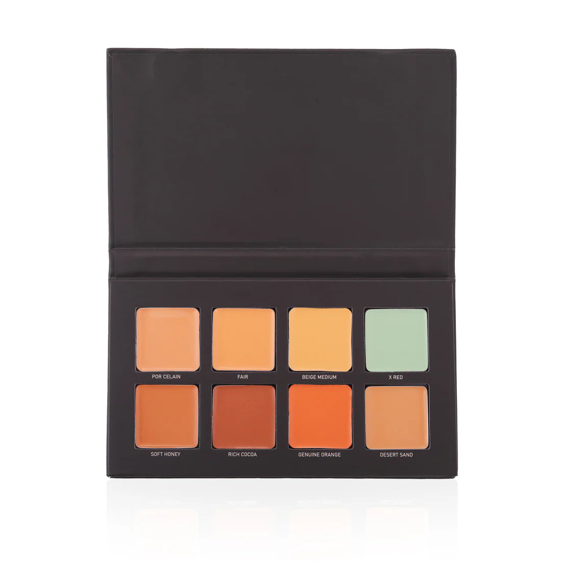 RICHA DAVE CONCEAL & CORRECT PALETTE