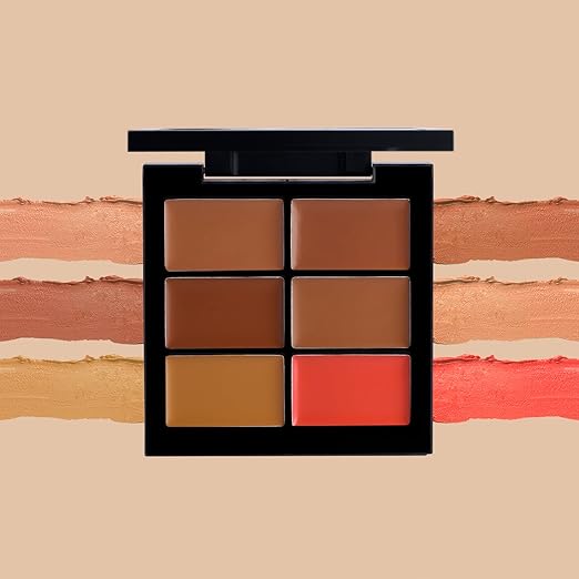 PAC GO DEEP CONCEALER PALETTE X6