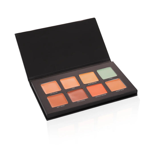 RICHA DAVE CONCEAL & CORRECT PALETTE